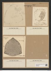 Triceratium robertsianum Grev. (de-Toni-Nr.: Genus 140, Species 3713) Zeichnungen Sammlung Grunow Nr. 7200 (NHMW-BOT-W0376186)